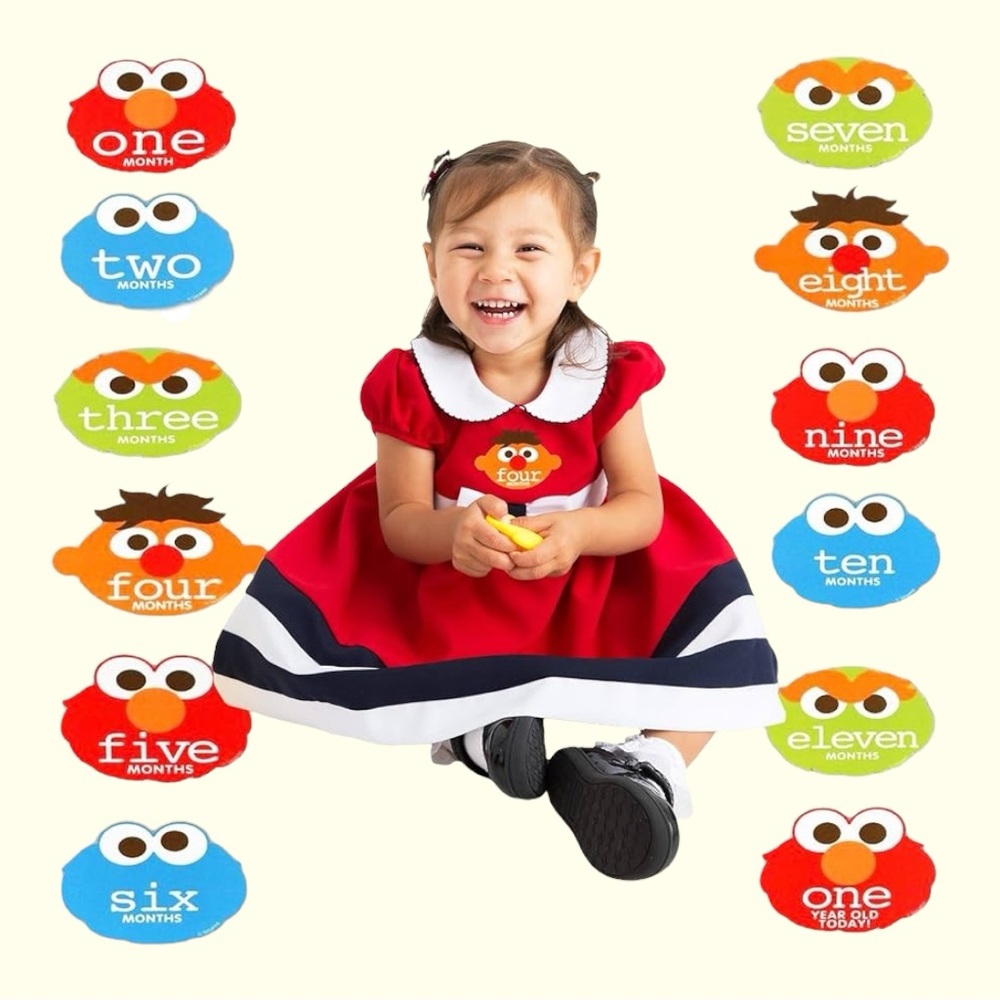 NIP 12 Sesame Street Milestone Sticker Set